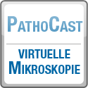 Pathocast banner.png