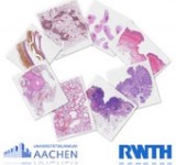 Pathocast Medizin RWTH Aachen